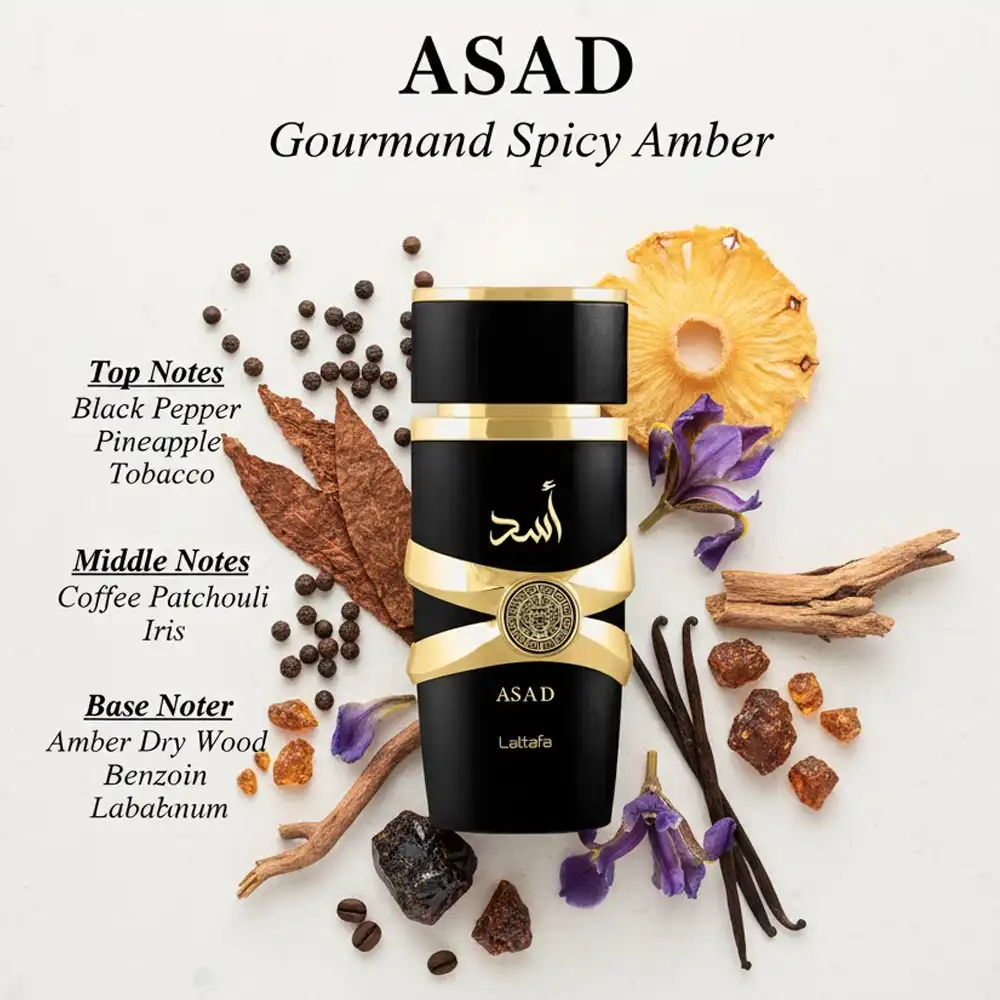  - Vorschaubild 4 von 4