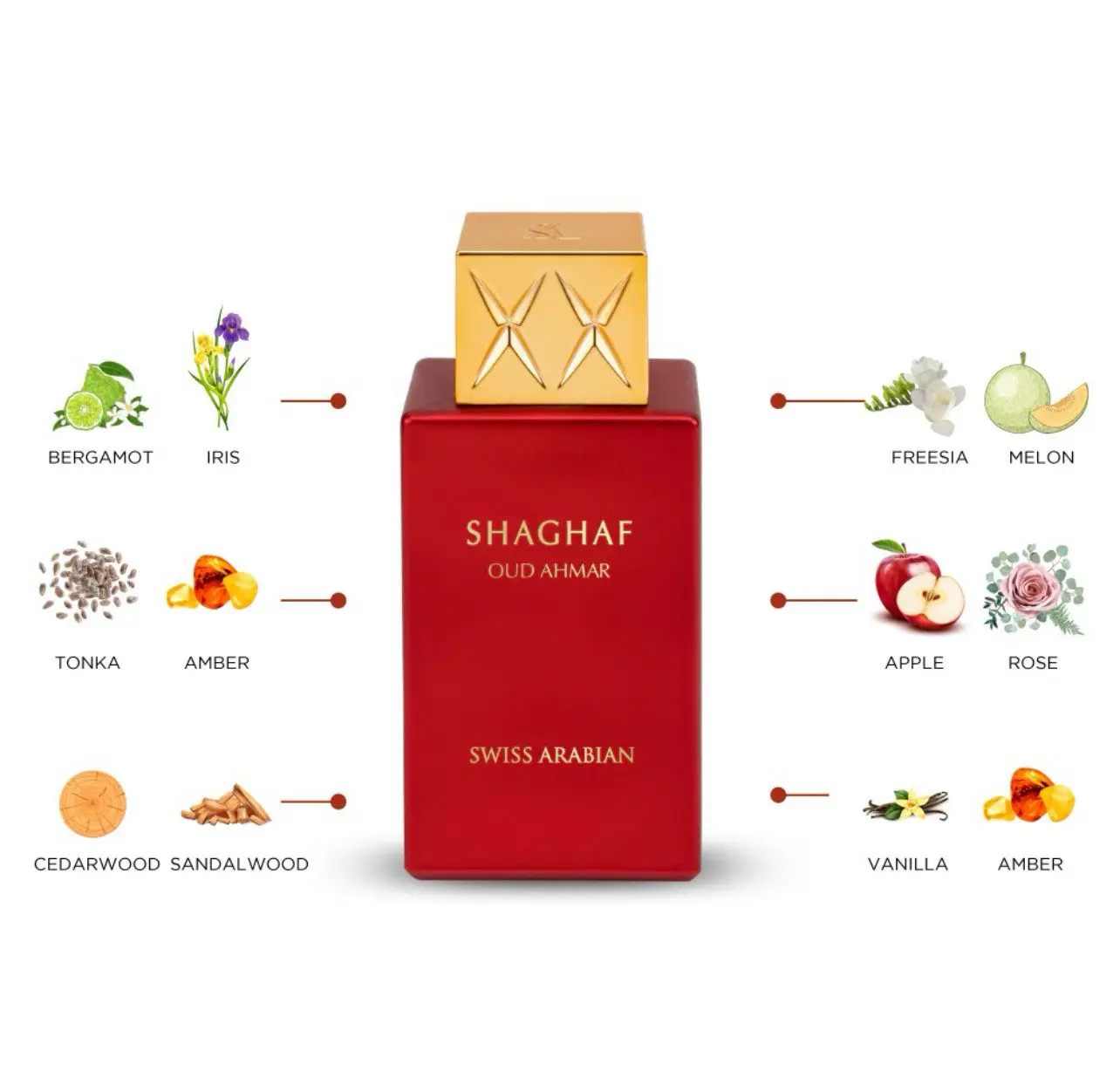  - Vorschaubild 6 von 6