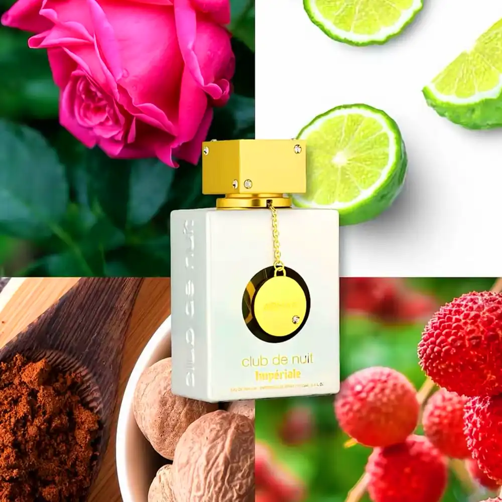  - Vorschaubild 4 von 4