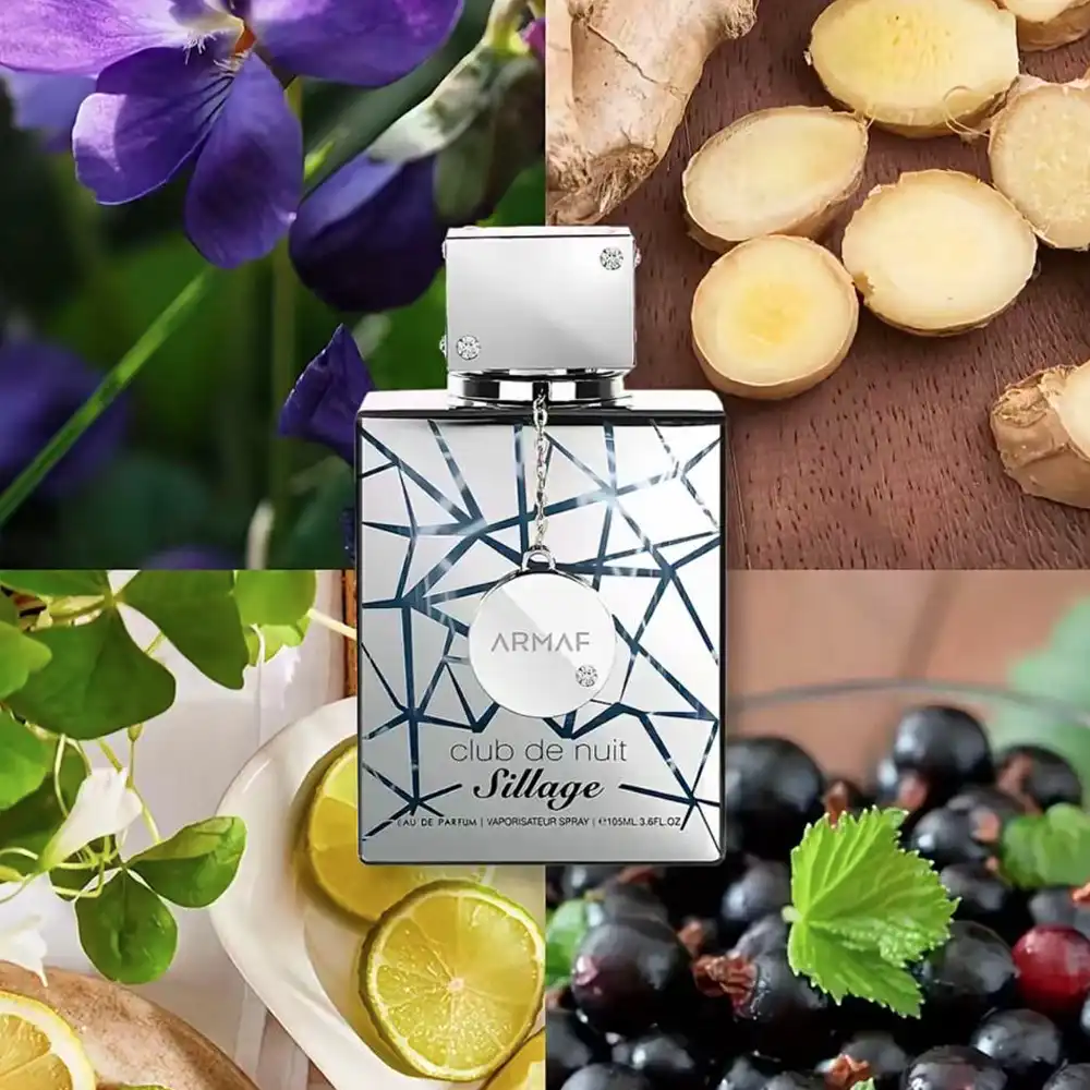  - Vorschaubild 5 von 5